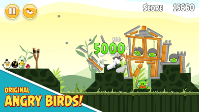Angry Birds screenshot 2