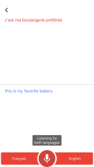 Google Translate screenshot 3